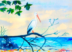 The Caribbean national symbol, this pelican waited. Then dart-like, its silver-white plumage blended into the water. Gone!