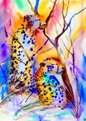 In Rajasthan these powerful creatures are kept in enclosed parks - just for tourists. They came to symbolise for me Light and Dark: Rich and Poor; Beauty and Fear; Colour and Shadows - yet they also contain the overwhelming mysterious beauty of India.